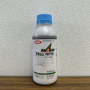 ňl풆 ZFw uVtAu 500ml tAu Eۍ _ | K[fjO 