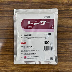 ňl풆 ۘaoCIP~J U[a 100g  _ | K[fjO 