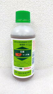 ňl풆 Yw ΌoCITCGX MCP\[_ 300g 1.5kg t  _ | K[fjO 