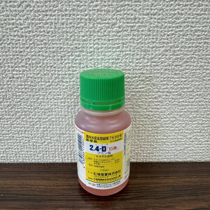 ňl풆 ΌoCITCGX 2,4-DA~ 100g p ŗp t  _ | K[fjO 