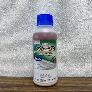 ňl풆 ΌoCITCGX u[VAtAu 500ml tAu  _ | K[fjO 