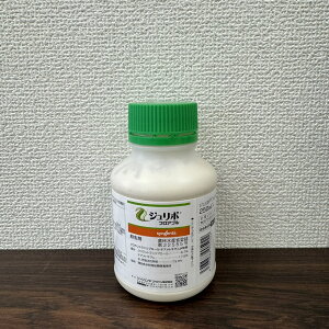 ňl풆 VWF^Wp W{tAu 250ml a Q΍ E _ | K[fjO 