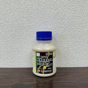 ňl풆 {_ _utF[XtAu 250ml E _ | K[fjO 