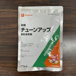 ňl풆 AOJlVE `[Abva 250g E _ | K[fjO 