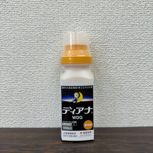 ňl풆 ZFw fBAiWDG 100g E _ | K[fjO 