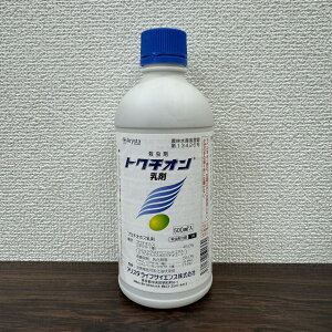 ňl풆 AX^CtTCGX gN`I 500ml E _ | K[fjO 