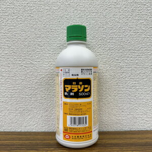 ňl풆 ZFw }\ 100ml 500ml  Q΍ E _ | K[fjO 