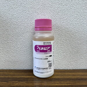 ňl풆 O䉻wAO xlrAOD 250ml Q΍ E _ | K[fjO 