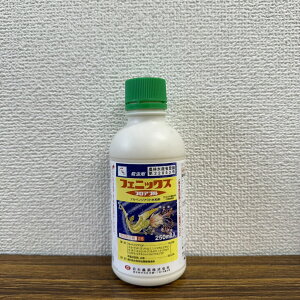 ňl풆 {_ tFjbNXtAu 250ml tAu Q΍ E _ | K[fjO 