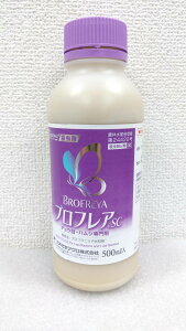 ňl풆 O䉻wAO utASC 250ml 500ml a `E nV Q΍ E _ | K[fjO 