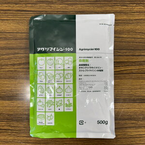 ňl풆 {B AO}CV100a 100g 500g a Eۍ _ | K[fjO 
