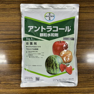 ňl풆 oCGNbvTCGX AgR[a 500g 1kg a Eۍ _ | K[fjO 