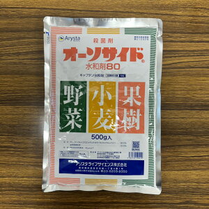 ňl풆 AX^CtTCGX I[\TCha80 250g 500g a Eۍ _ | K[fjO 
