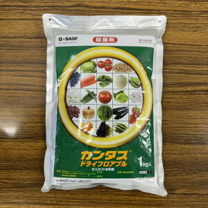 ňl풆 {B J^XhCtAu 100g 667g 1kg tAu a Eۍ _ | K[fjO 