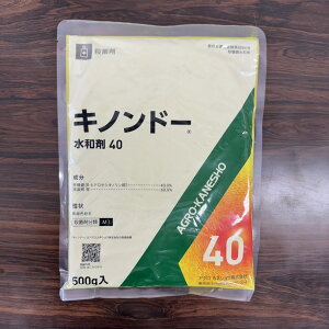 ňl풆 AOJlVE Lmh[40a 500g a Eۍ _ | K[fjO 