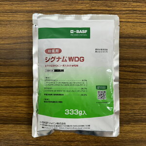 ňl풆 BASFWp VOiWDG 100g 333g a Eۍ _ | K[fjO 