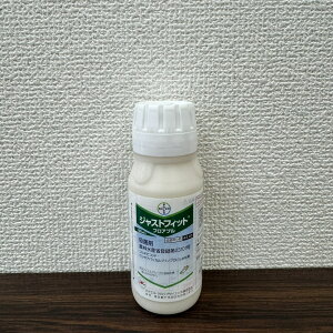 ňl풆 oCGNbvTCGX WXgtBbgtAu 100ml a Eۍ _ | K[fjO 