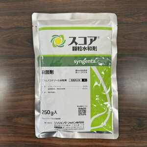 ňl풆 VWF^Wp XRAa 250g a Eۍ _ | K[fjO 