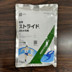 ňl풆 AOJlVE XgCha 333g a Eۍ _ | K[fjO 