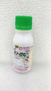 ňl풆 {B Xgr[tAu 100ml tAu a Eۍ _ | K[fjO 