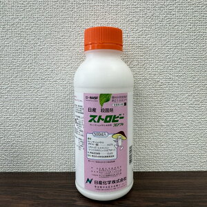 ňl풆 Yw Xgr[tAu 500ml a Eۍ _ | K[fjO 
