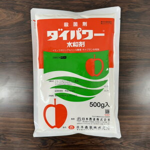 ňl풆 {B _Cp[a 500g Eۍ _ | K[fjO 