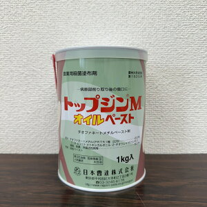 ňl풆 {B gbvWMICy[Xg 1kg Eۍ _ | K[fjO 
