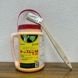 ňl풆 {B gbvWMy[Xg 200g 1kg y[Xg Eۍ _ | K[fjO 