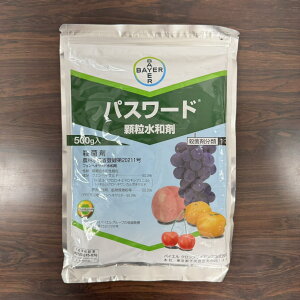 ňl풆 oCG pX[ha 500g Eۍ _ | K[fjO 