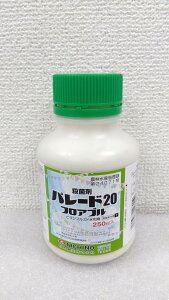ňl풆 {_ p[h20tAu 250ml tAu a Eۍ _ | K[fjO 