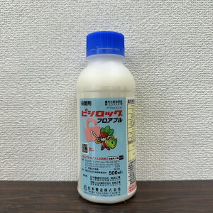 ňl풆 {B sVbNtAu 500ml Eۍ _ | K[fjO 