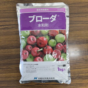 ňl풆 Yw u[_a 1kg a Eۍ _ | K[fjO 