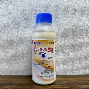 ňl풆 ΌoCITCGX tTChSCtAu 500ml tAu Eۍ _ | K[fjO 