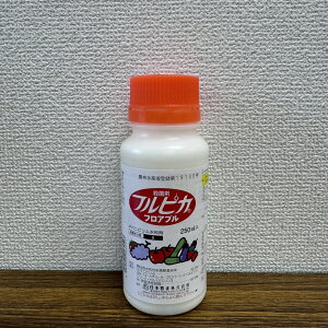 ňl풆 {B tsJtAu 250ml tAu Eۍ _ | K[fjO 