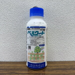 ňl풆 {B xN[gtAu 500ml tAu Eۍ _ | K[fjO 