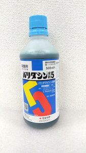 ňl풆 ZFw o_Vt5 500ml t Eۍ _ | K[fjO 