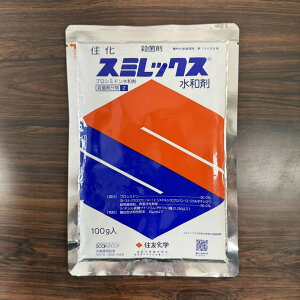 ňl풆 ZFw X~bNXa 100g a Eۍ _ | K[fjO 