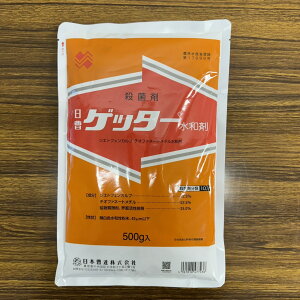 ňl풆 {B Qb^[a 100g 500g a Eۍ _ | K[fjO 