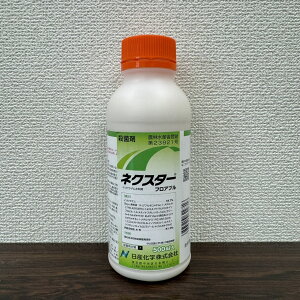 ňl풆 Yw lNX^[tAu 500ml Eۍ _ | K[fjO 