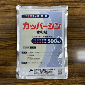 ňl풆 MMAG Jbp[Va 100g 500g a Eۍ _ | K[fjO 