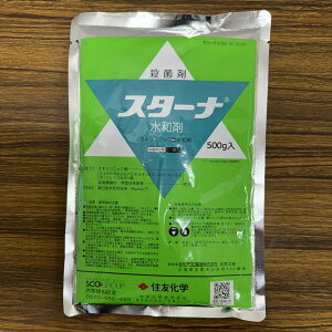 ňl풆 ZFw X^[ia 100g 500g a Eۍ _ | K[fjO 