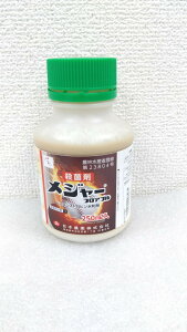 ňl풆 {_ W[tAu 250ml tAu a Eۍ _ | K[fjO 