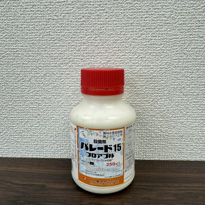 ňl풆 {_ p[h15tAu 250ml Eۍ _ | K[fjO 