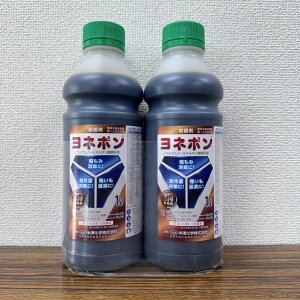 yVX[p[SALE l| 2L(1L×2{Zbg) Eۍ _ | K[fjO 
