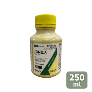 ňl풆 AOJlVE p~mtAu 250ml tAu Q΍ E Eۍ ǂ񂱕a RiW~ _ | K[fjO 