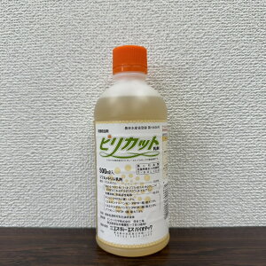 ňl풆 sJbg 500ml E Eۍ _ | K[fjO 