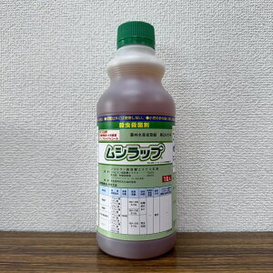 ňl풆 ۘaoCIP~J Vbv 1L EEۍ _ | K[fjO 