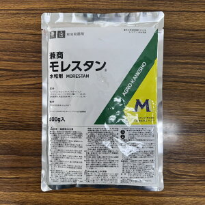 ňl풆 AOJlVE X^a 100g 500g EEۍ _ | K[fjO 