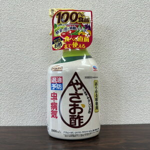 ňl풆 A[X A[XK[f ₳| 1000ml Q΍ E Eۍ _ | K[fjO 