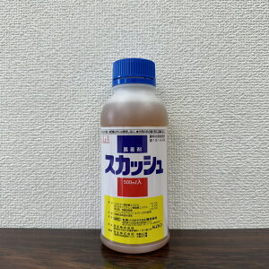 ňl풆 ۘaoCIP~J XJbV 500ml W _ | K[fjO 